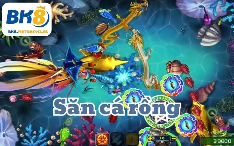 Bắn Cá BK8 - Trải nghiệm game bắn cá nổ hũ cực đỉnh